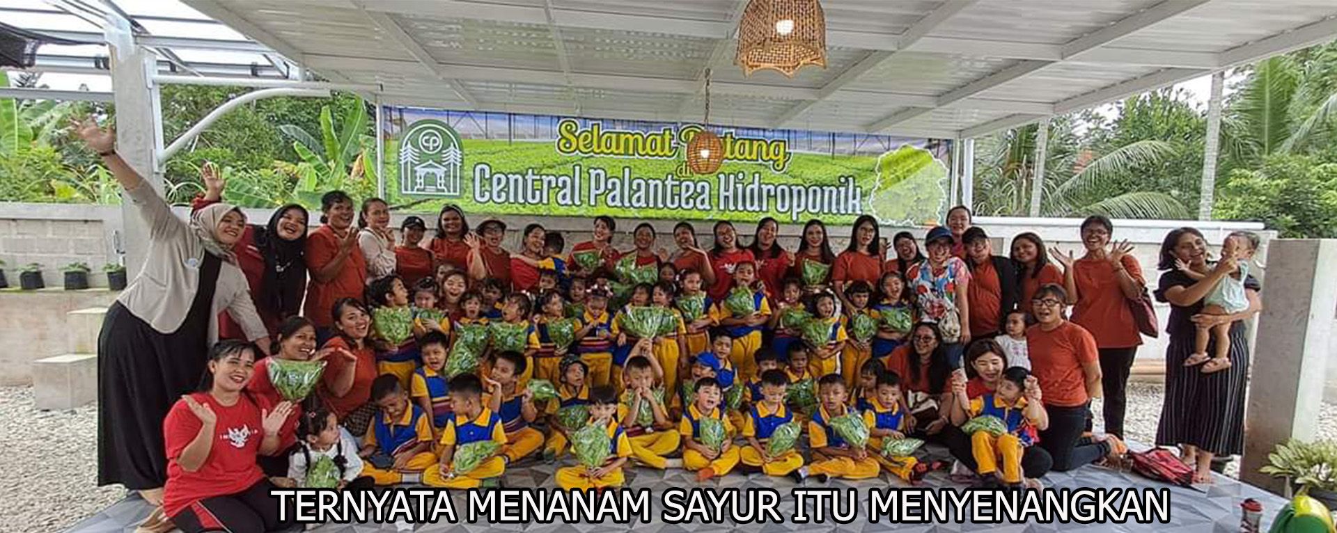 TERNYATA MENANAM SAYUR ITU MENYENANGKAN